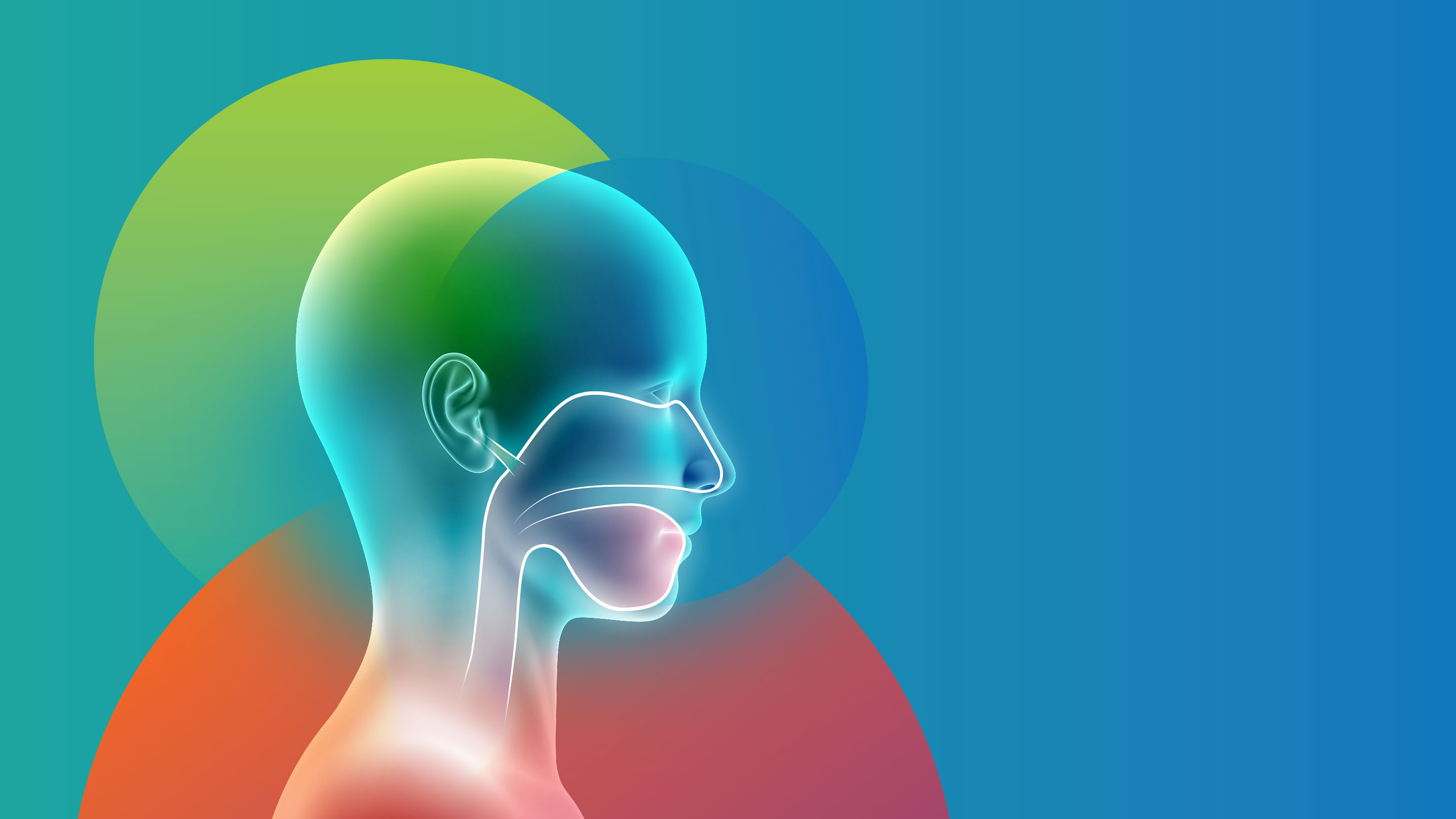 ENT in Northern Virginia | Potomac Ear, Nose & Throat